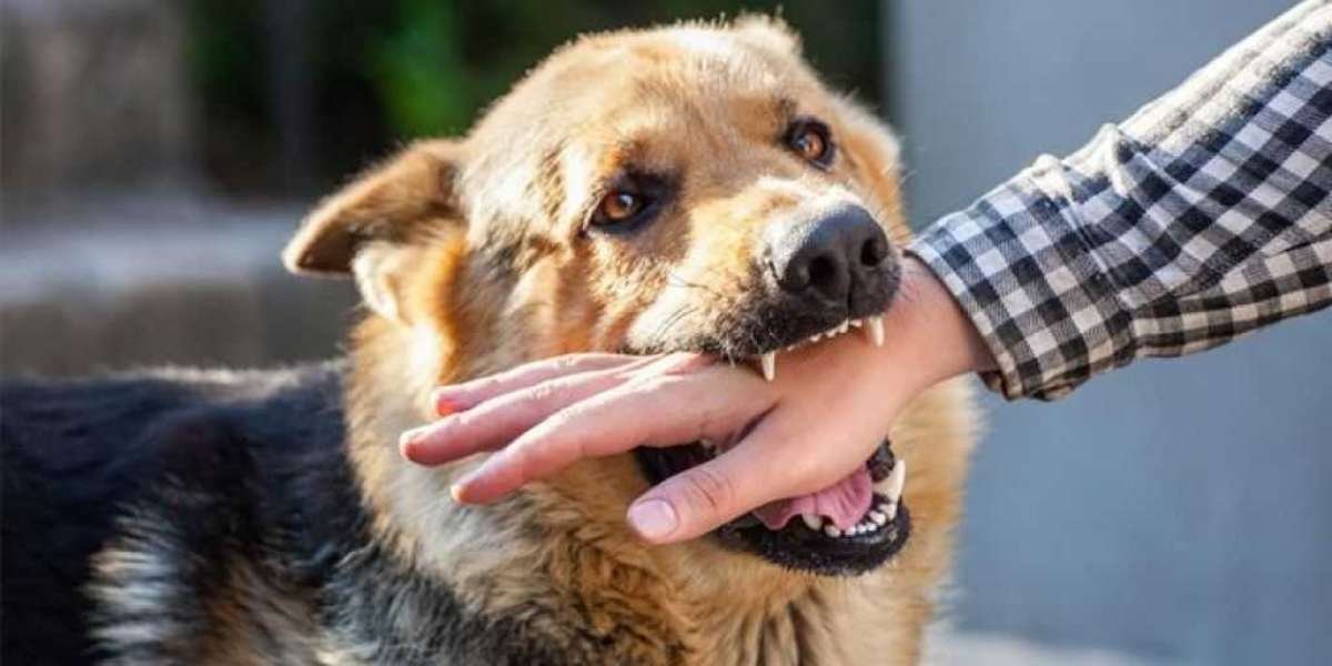 Creating an Effective Employee Dog Bite Prevention Manual