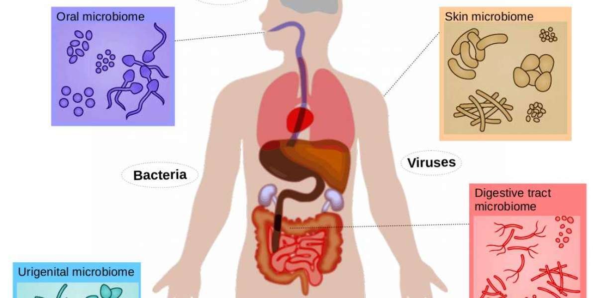 Human Microbiome Market is Anticipated to Register  23.8% CAGR through 2031