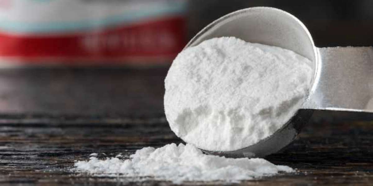 Sodium Bicarbonate Manufacturing Plant Project Report 2024: Manufacturing Process, Cost and Raw Materials Requirement