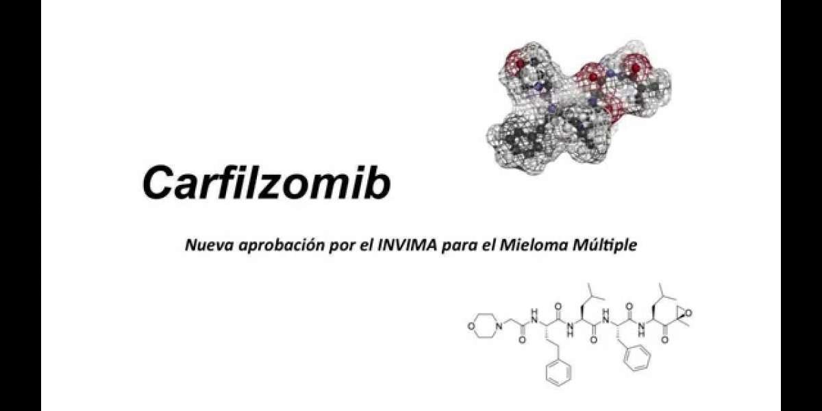 Carfilzomib Market Report Includes Dynamics, Products, and Application 2024 – 2034