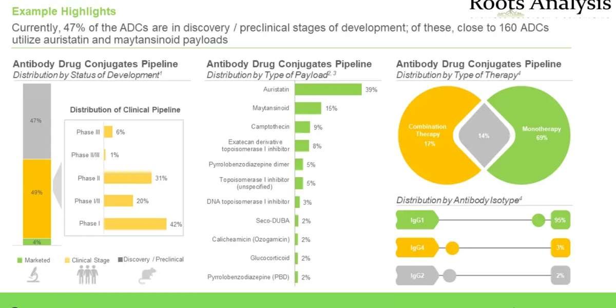 Antibody Drug Conjugate Market Growth and Status Explored in a New Research Report 2035