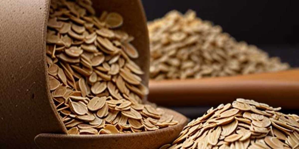 Rolled Oats Manufacturing Plant Project Report 2024: Setup Cost, Machinery Requirements and Raw Materials