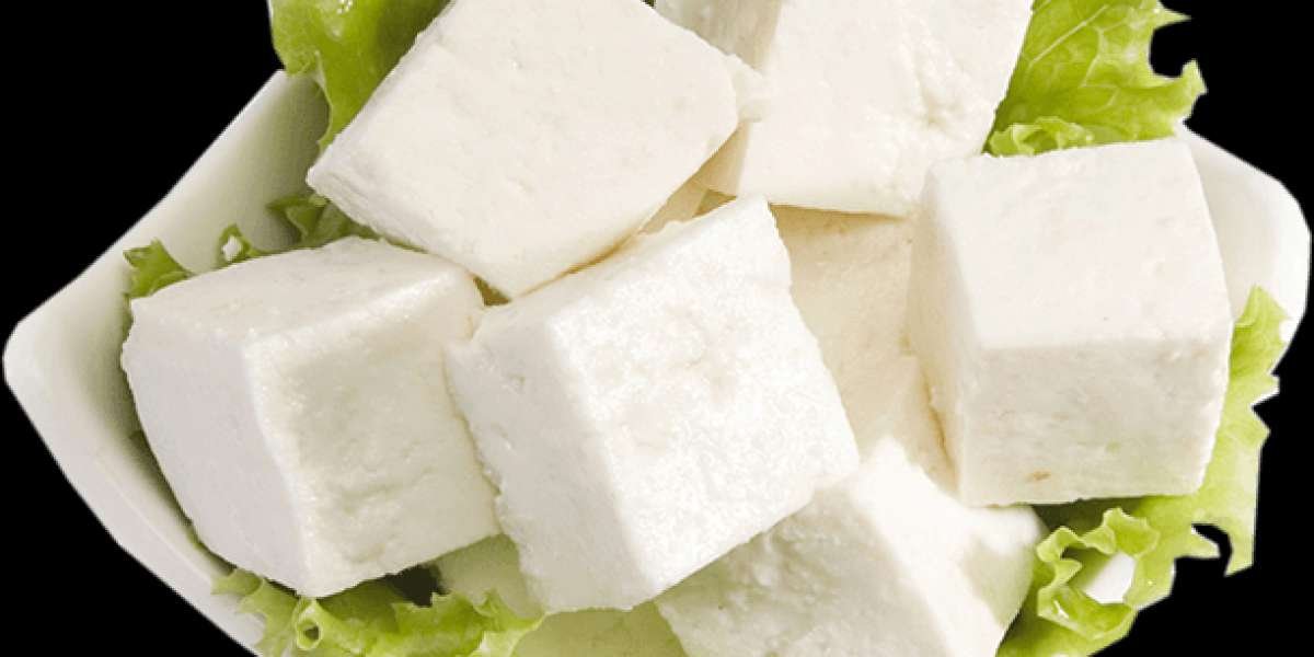 Soya Paneer Manufacturing Plant: Project Report, Cost Analysis, Machinery and Raw Materials Requirement