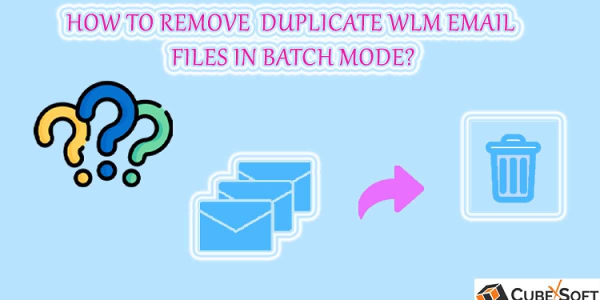 How to Find and Remove Duplicates in Windows Live Mail?