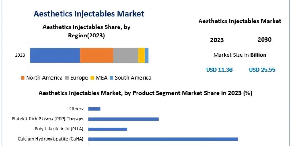 Aesthetics Injectables Market Trends, Top Players Updates, Future Plans 2030