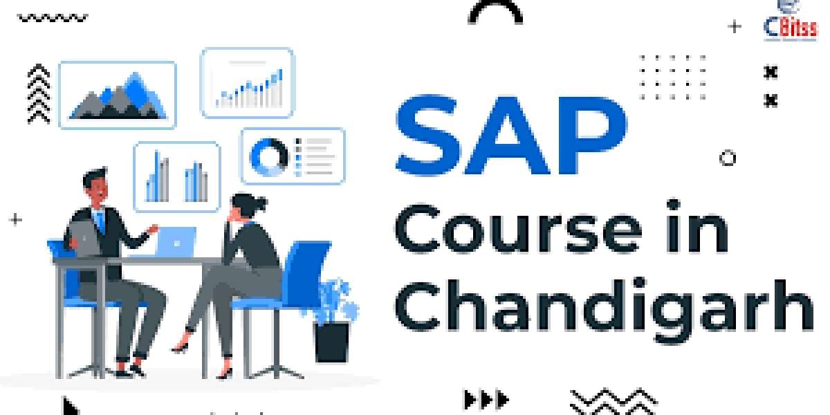 SAP training in Chandigarh