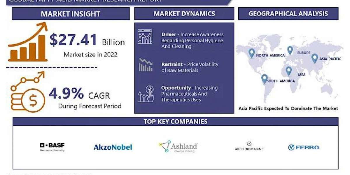 Global Fatty Acid Market 2030 Business Insights with Key Trend Analysis