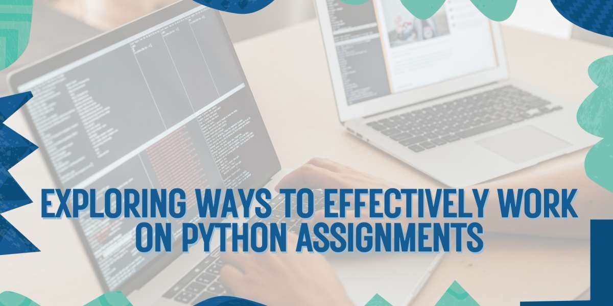 Exploring Ways to Effectively Work on Python Assignments