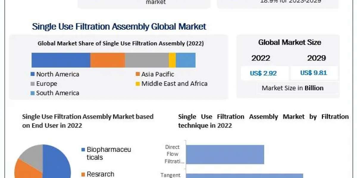 Single Use Filtration Assembly Market Analysis 2024-2030: Trends, Growth, and Forecast