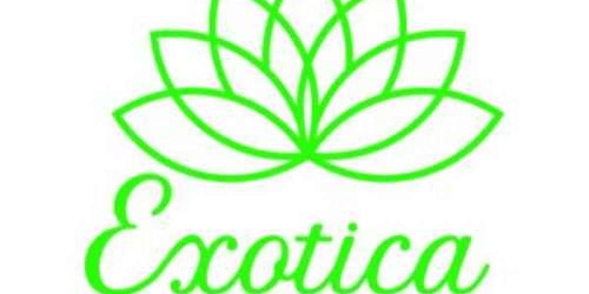 Need Same Day Flower Delivery in Delhi? Exotica The Gifting Tree Saves the Day!