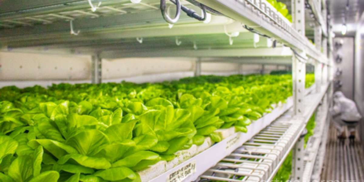 Indoor Farming Market Size, Share, and Forecast 2024-2032