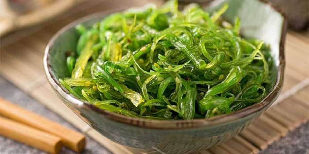 Seaweed Market Trends, Growth, Key Players, and Report 2024-2032