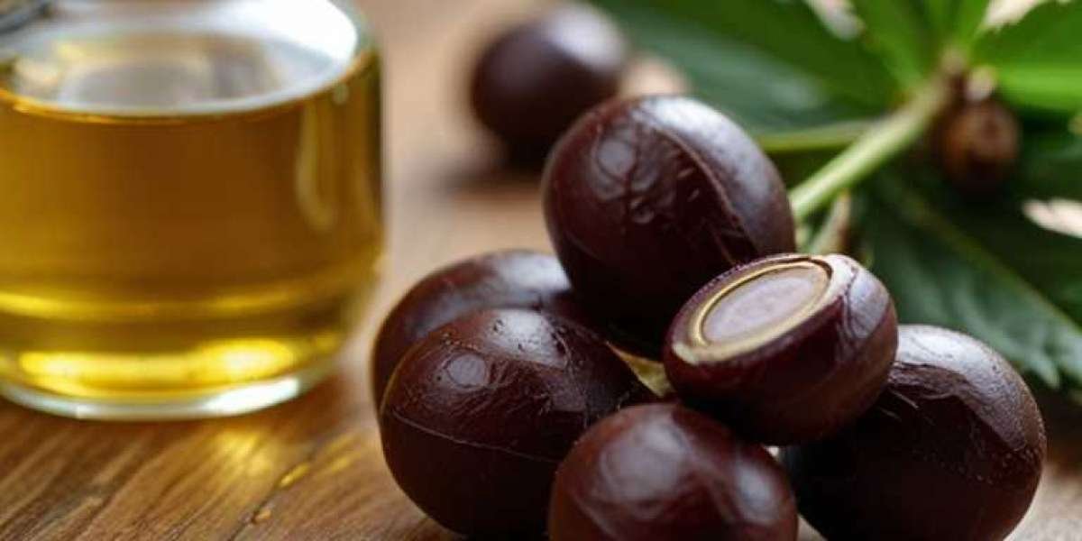 Castor oil market Size, Share, Trends, Industry Analysis, Report 2024-2032