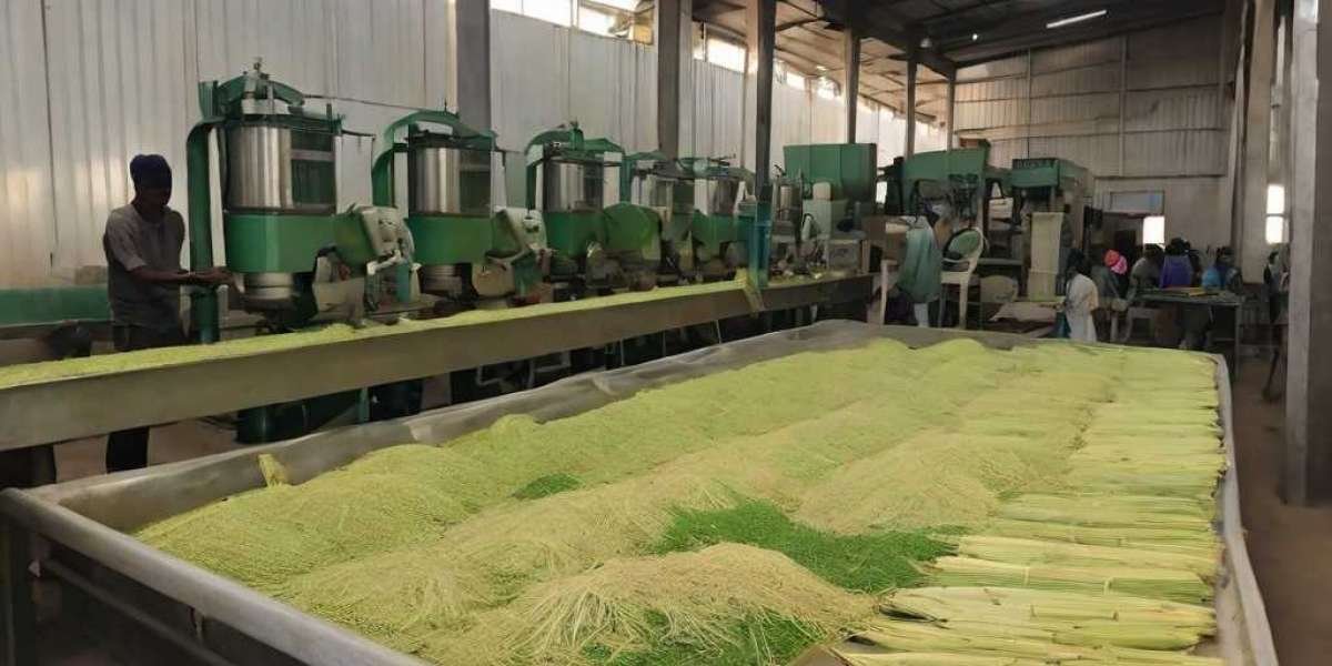 Lemongrass Processing Plant Project Report 2024: Comprehensive Business Plan, Raw Materials and Cost Involved
