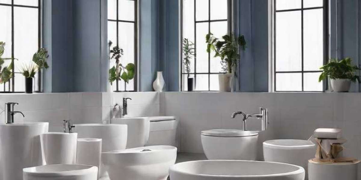 Porcelain Sanitary Ware Manufacturing Plant Project Report 2024: Raw Materials, Investment Opportunities, Cost and Reven