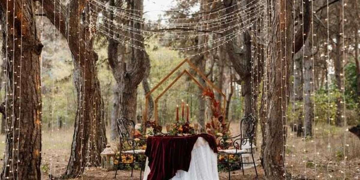 Planning Your Dream Wedding in the Redwood Forest