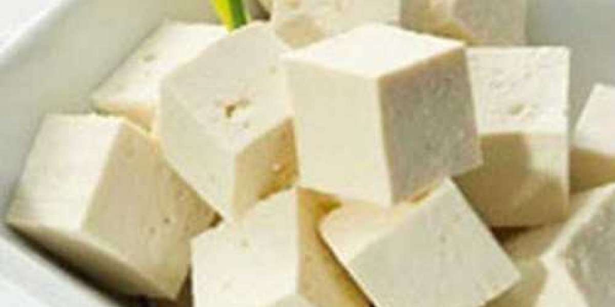 Soya Paneer Manufacturing Plant: Project Report, Cost Analysis, Machinery and Raw Materials Requirement | Syndicated Ana