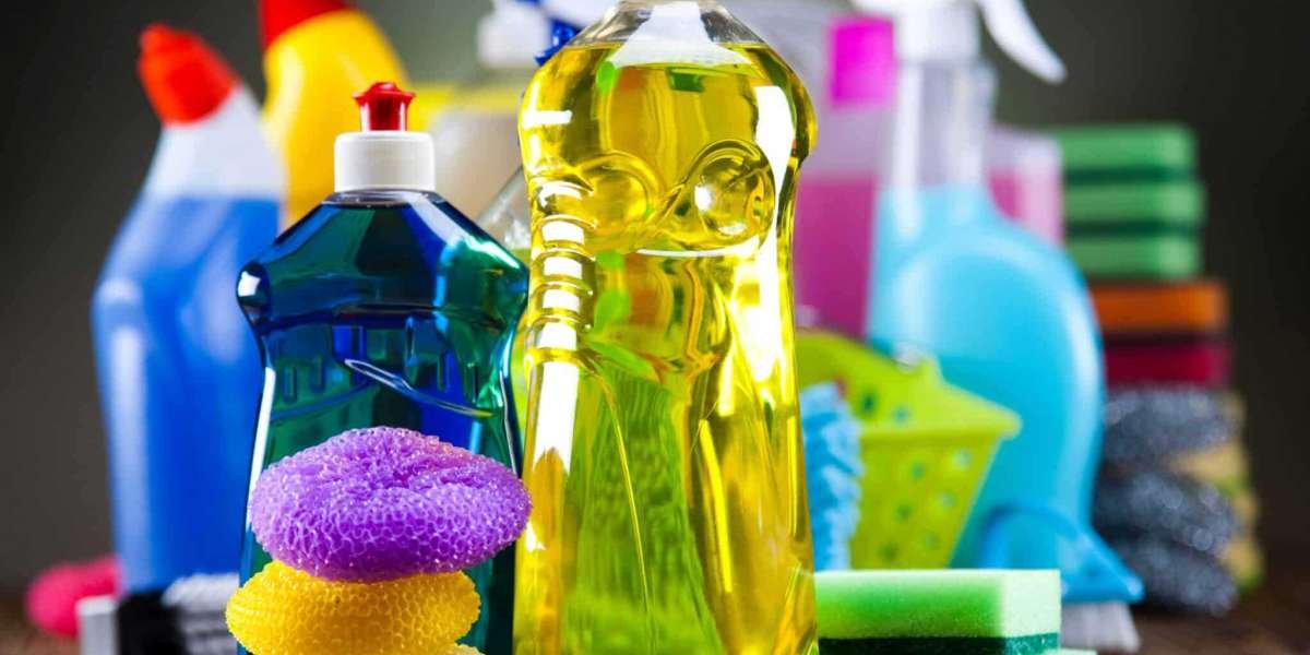 Household Insecticides Market Overview, Size, Industry Share, Growth, and Forecast 2024-2032