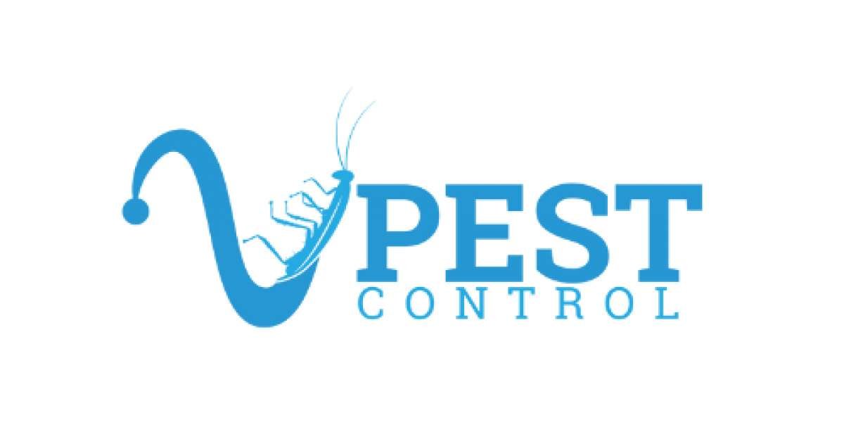 Safeguard Your Miami Home from Termites with V Pest Control