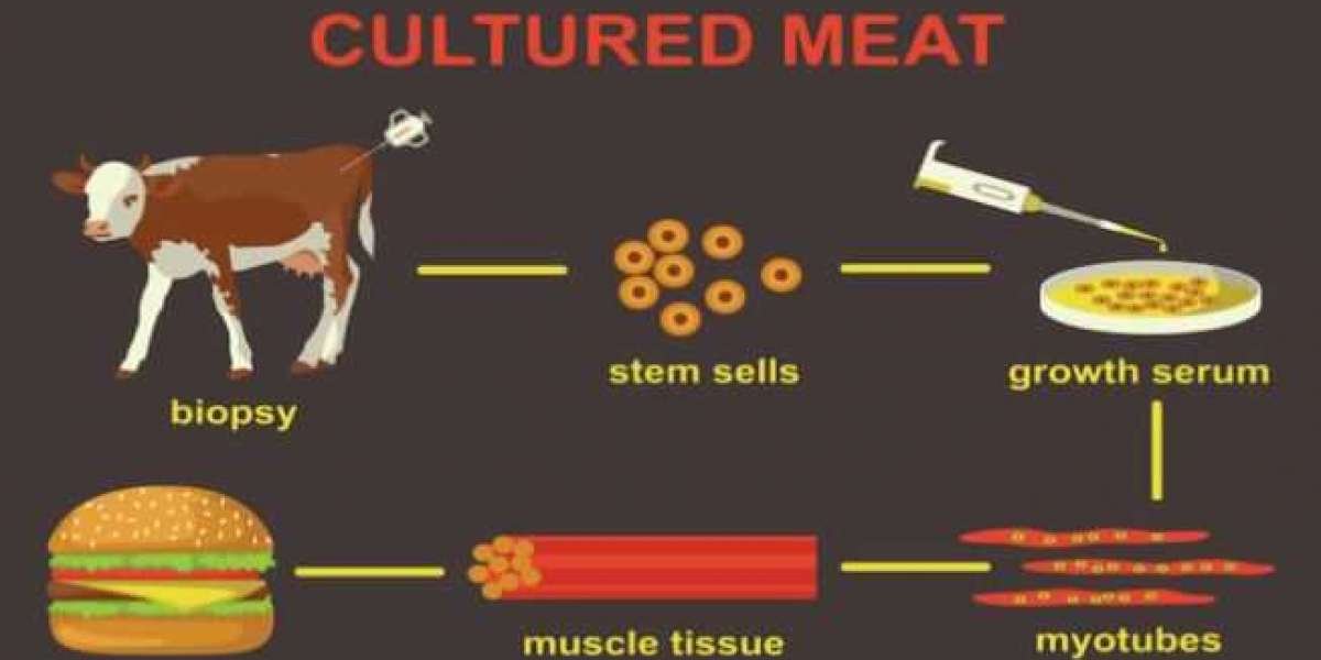 Cultured Meat Market Advancements | Aleph Farms, Eat Just, Believer Meats, BlueNalu
