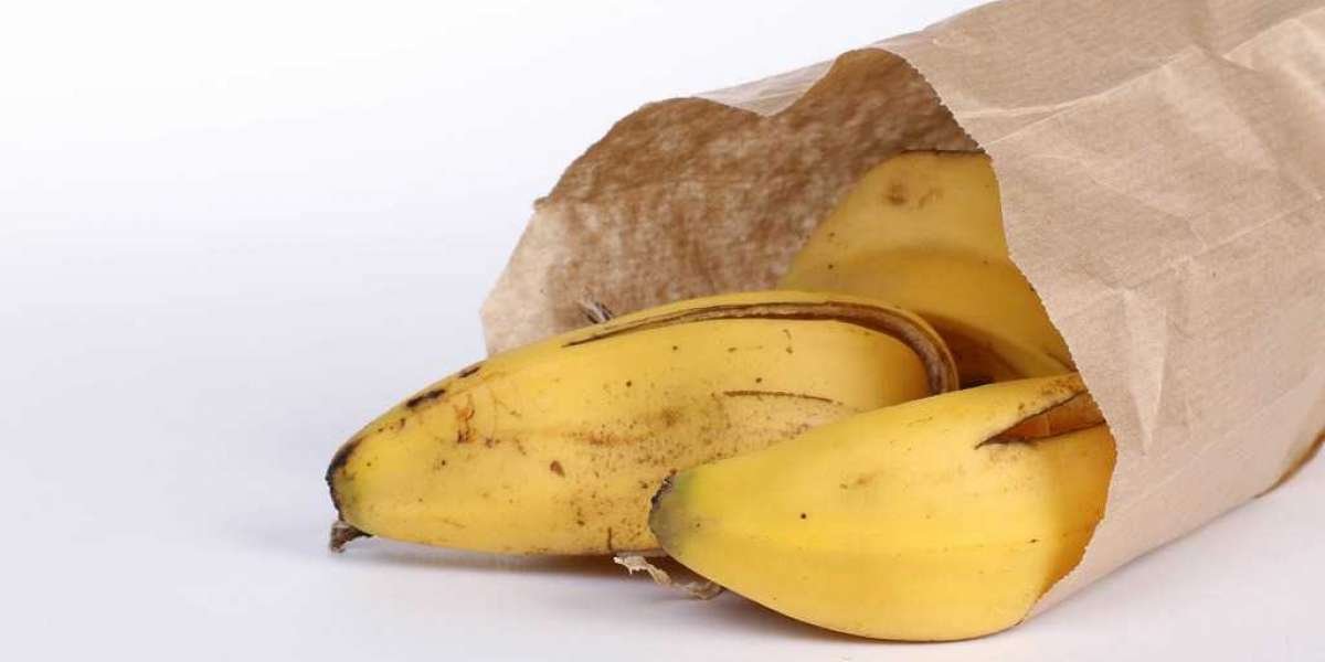 Setting Up a Banana Paper Manufacturing Plant Report 2024