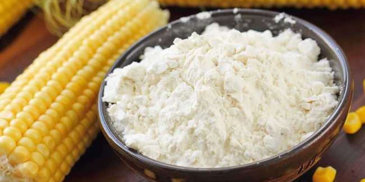 Corn Bran Flour Manufacturing Plant Project Report 2024: Raw Materials Requirement, Setup Cost, and Revenue