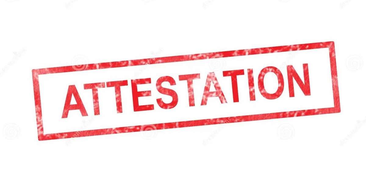 The Ultimate FAQ on Birth Certificate Attestation in Mumbai