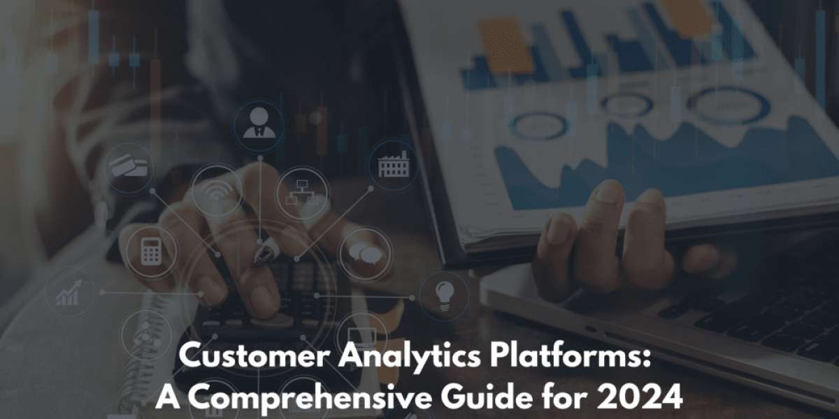 Customer Analytics Platforms: A Comprehensive Guide for 2024