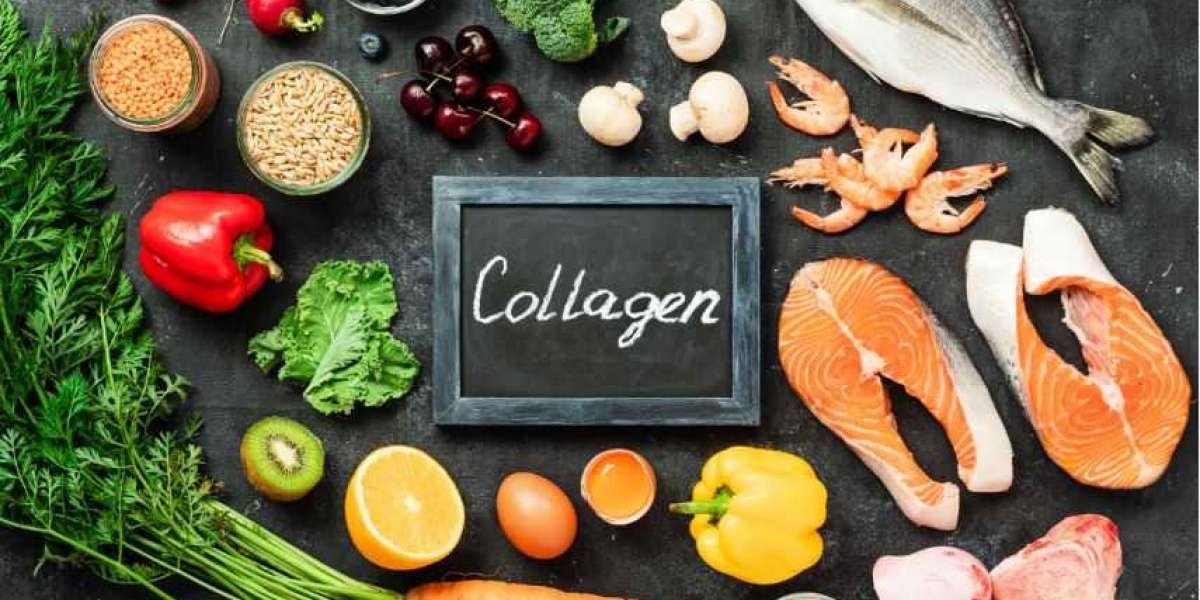 Collagen Market Size, Share, Trends, Industry and Forecast, 2024 – 2031 | Kings Research