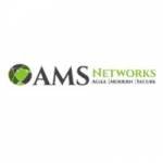 AMS LLC
