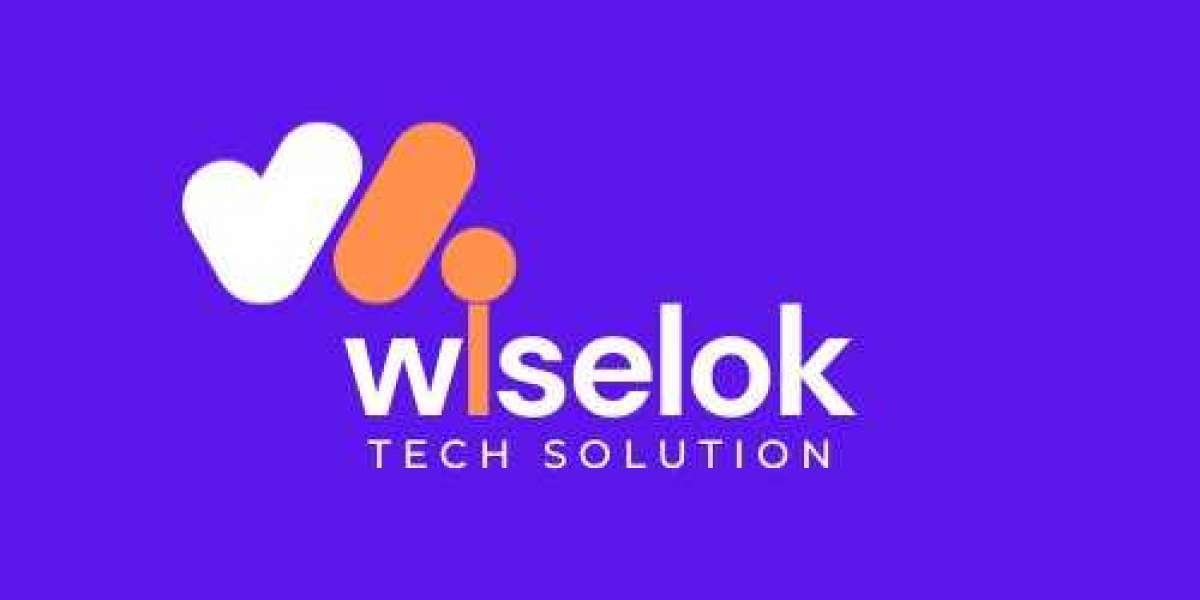 Web Design & Development Services in Jaipur - Wiselok TechSolution