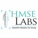 HMSE Labs