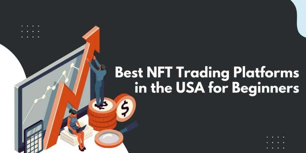 Best NFT Trading Platforms for Beginners in the USA