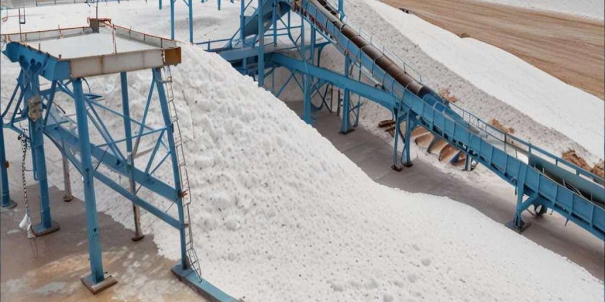 Table Salt Manufacturing Plant Setup: Detailed Project Report 2024 by IMARC Group