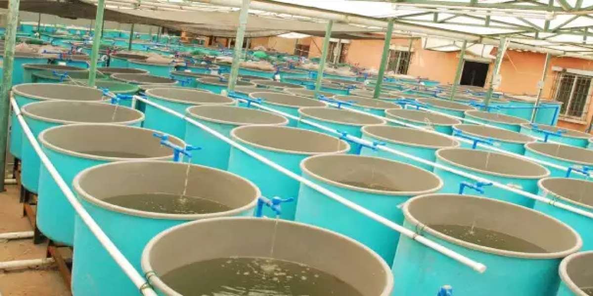 Why High-Quality Fish Feed is the Secret Sauce for Happy Fish and a Thriving Aquaculture