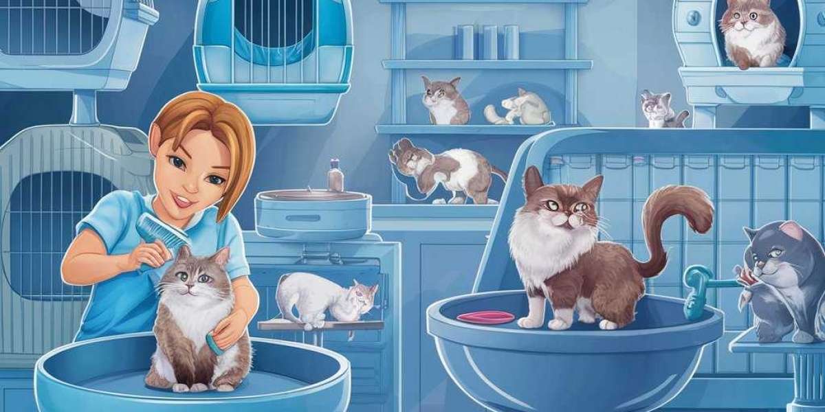Top Mobile Pet Grooming for Cats