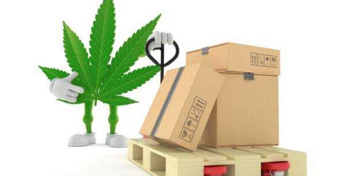 Navigating Medical Cannabis Delivery with Kush Klinic