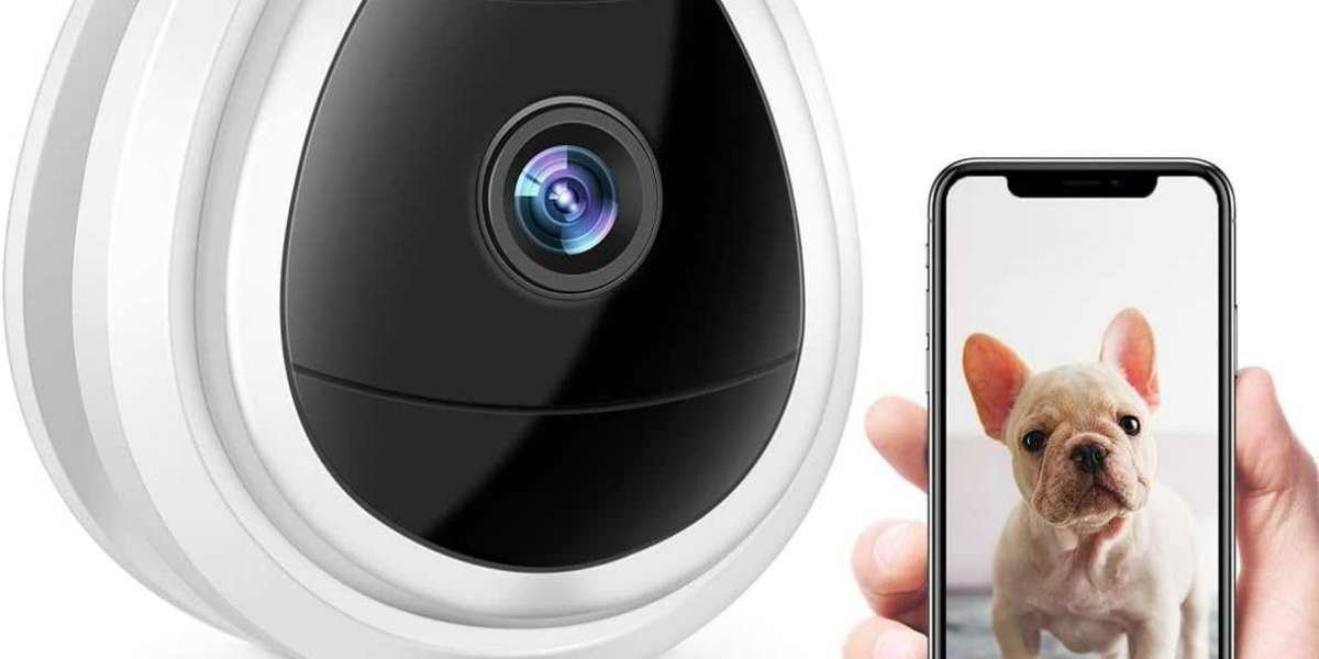 Pet Monitoring Camera Market Size, Future Trends, Growth Key Factors, Demand, Share, Application, Scope, and Opportuniti