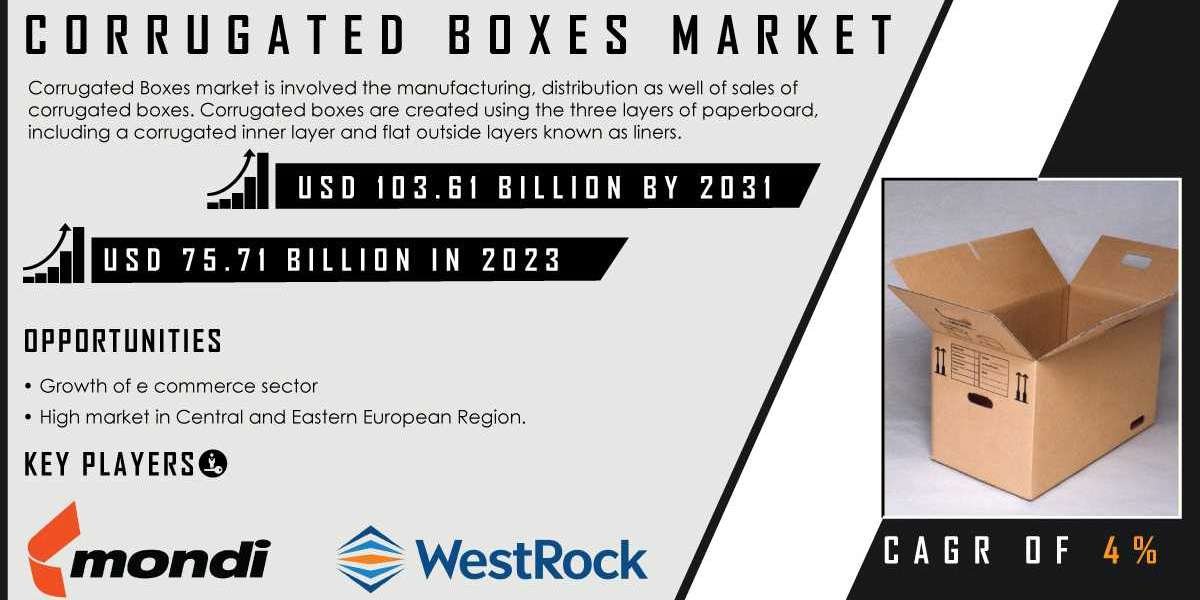 Corrugated Bulk Bins Market, Size Segmentation and Key Players Analysis Report 2024