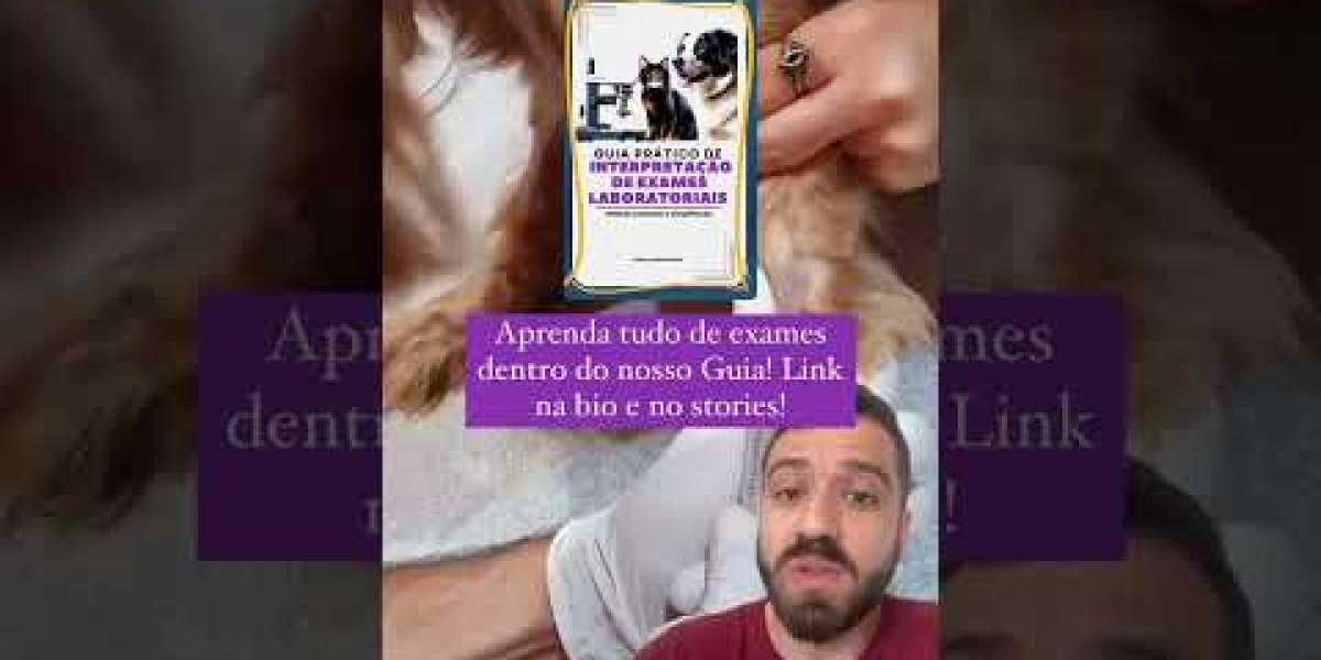 Dicas Práticas para Regular o TSH em Pets e Garantir Saúde na Sua Companhia