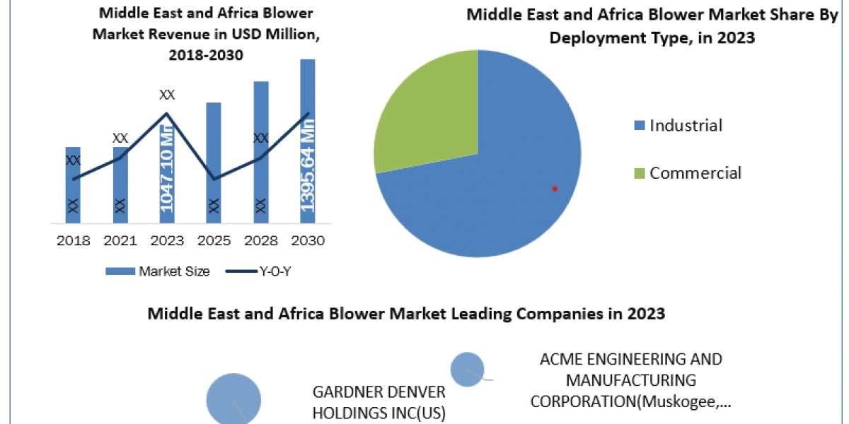 Middle East and Africa Blower Market Beyond the Basics: Size, Share, Revenue, and Statistics Overview | 2024-2030