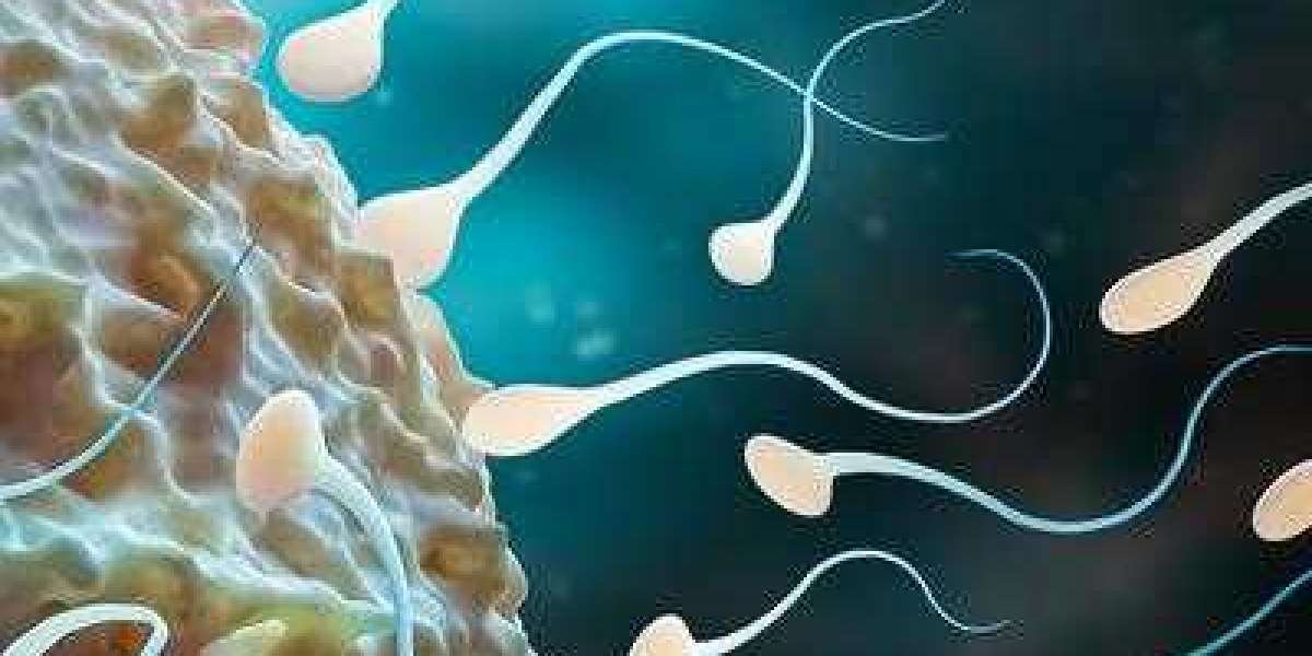 Reproductive Genetics Market Share, Growth Opportunities, Trends, and Forecast 2024-2032