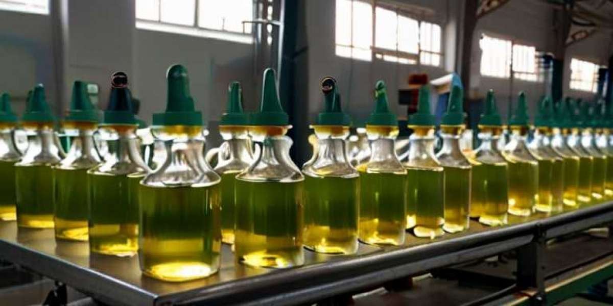 Aloe Vera Gel Manufacturing Plant Project Report 2024: Machinery, Raw Materials and Investment Opportunities