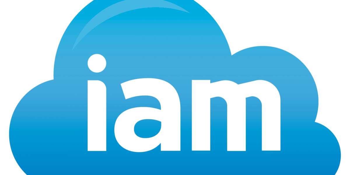 Cloud IAM Market Size, Share and Industry Analysis, Report 2024-2032