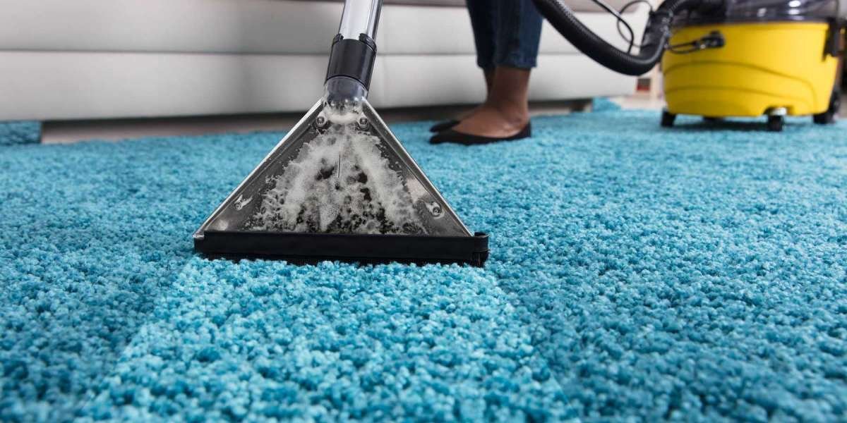 The Benefits of Professional Carpet Cleaning for an Elevated Home