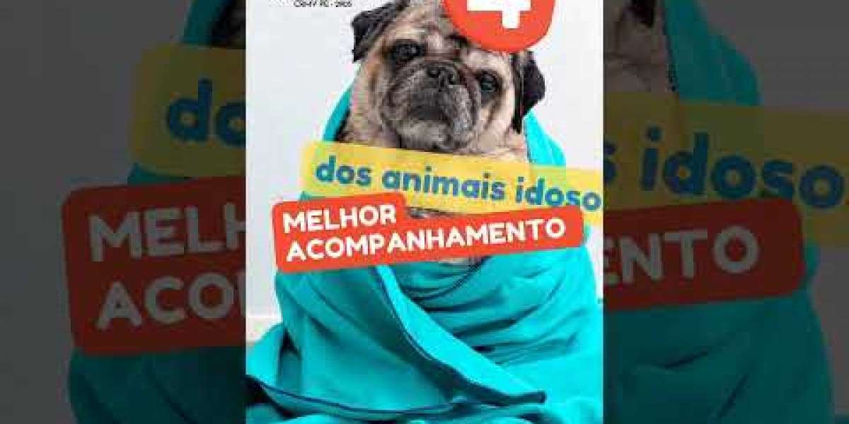 ENZIMOLOGÍA URINARIA EN PERROS SANOS Anales de Veterinaria de Murcia