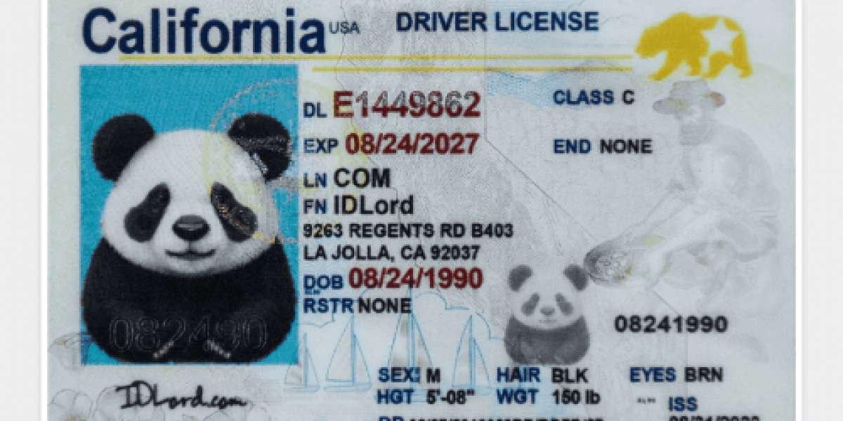 Spotting the Difference Real vs Fake California Driver’s Licenses