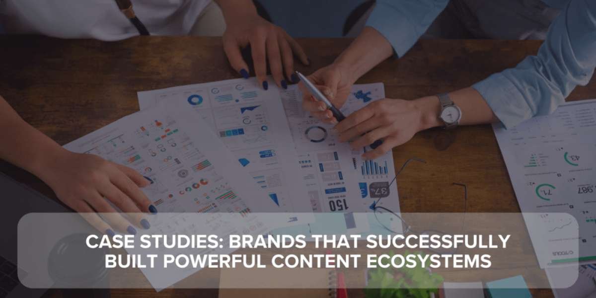 Case Studies: Brands that Successfully Built Powerful Content Ecosystems