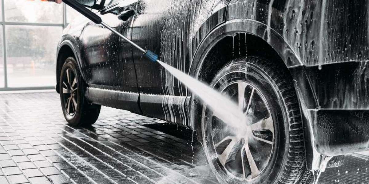 The Importance of Professional Car Wash and Grooming Spa Services