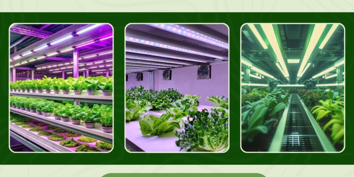 Global Agricultural Lighting Market: Size, Share, Analysis, and Forecast 2023-2033